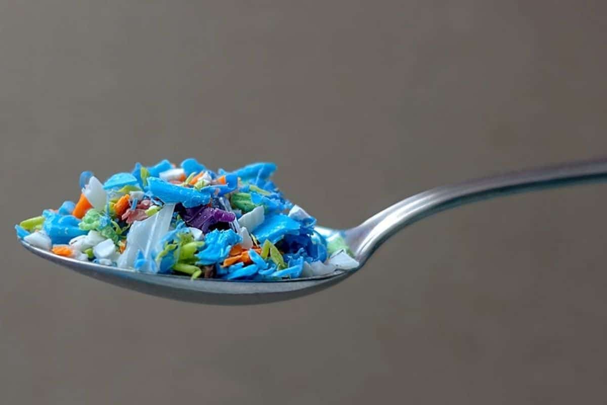 Gemma del Caño, pārtikas drošības eksperte: „Ūdens pudeles atstāšana automašīnā saulē šķiet nekaitīga, bet patiesībā tā ir plastmasas migrācijas, mikroplastmasas, baktēriju un sliktas garšas kokteilis”.